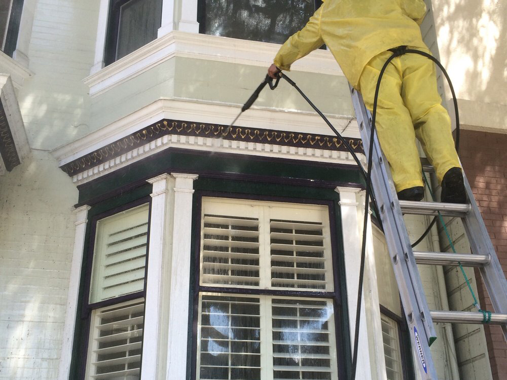 Window Cleaning Services White City Fl